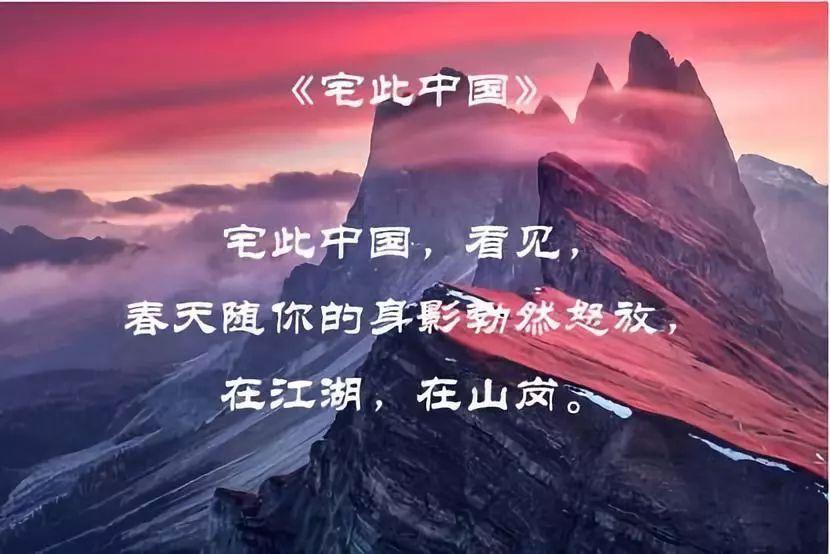 创作猫