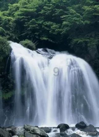 磁铁兄弟