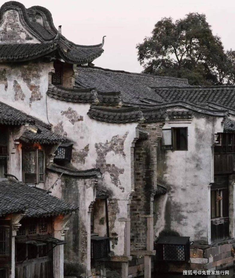 泡弹学院